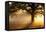 Oak Tree At Sunrise-Jeremy Walker-Framed Premier Image Canvas