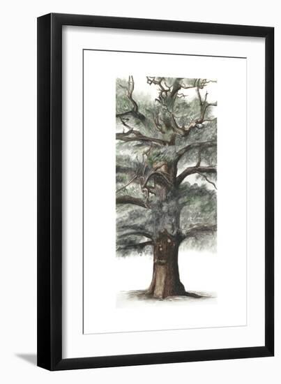 Oak Tree Composition I-Naomi McCavitt-Framed Art Print