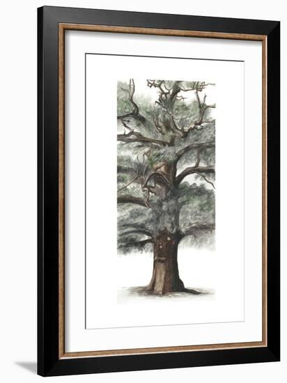 Oak Tree Composition I-Naomi McCavitt-Framed Art Print