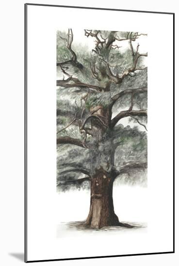 Oak Tree Composition I-Naomi McCavitt-Mounted Art Print