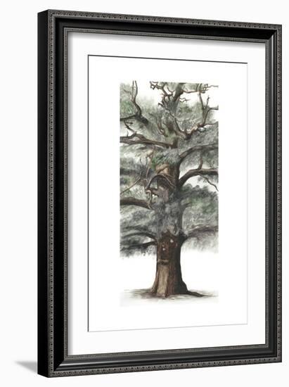 Oak Tree Composition I-Naomi McCavitt-Framed Art Print