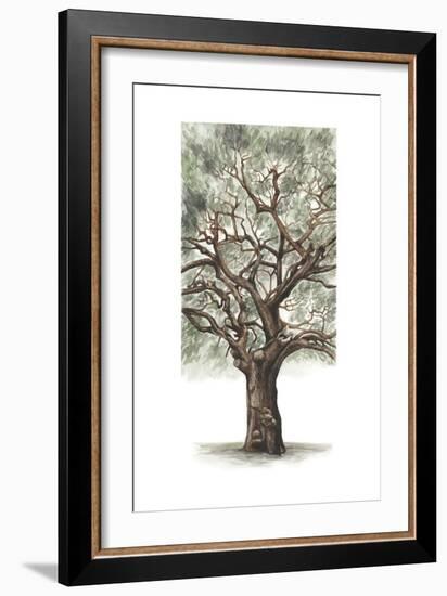 Oak Tree Composition II-Naomi McCavitt-Framed Art Print