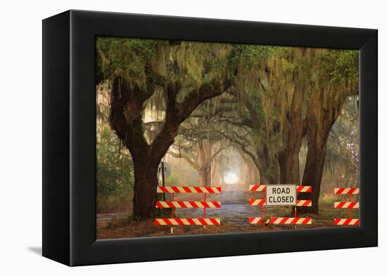 Oak Tree Drive Closed with Barriers, Savannah, Georgia, USA-Joanne Wells-Framed Premier Image Canvas