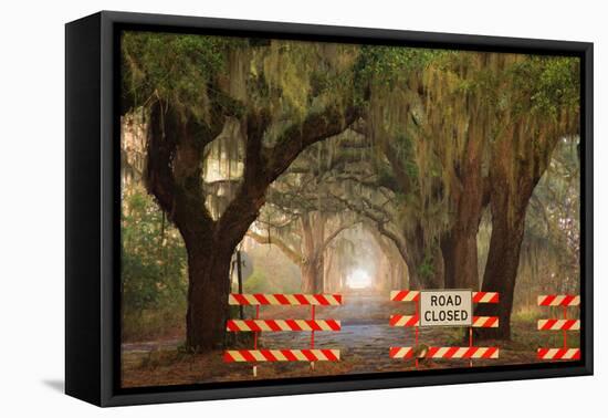 Oak Tree Drive Closed with Barriers, Savannah, Georgia, USA-Joanne Wells-Framed Premier Image Canvas