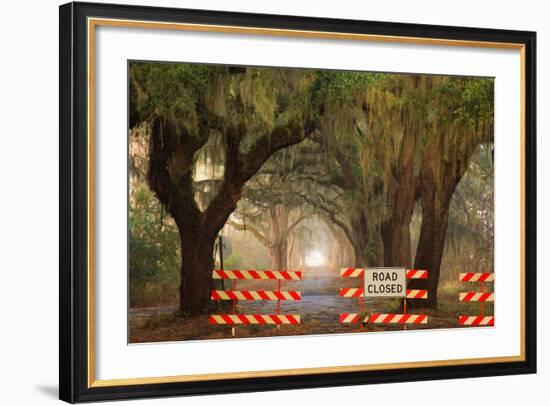 Oak Tree Drive Closed with Barriers, Savannah, Georgia, USA-Joanne Wells-Framed Photographic Print