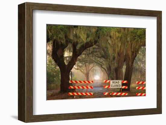 Oak Tree Drive Closed with Barriers, Savannah, Georgia, USA-Joanne Wells-Framed Photographic Print