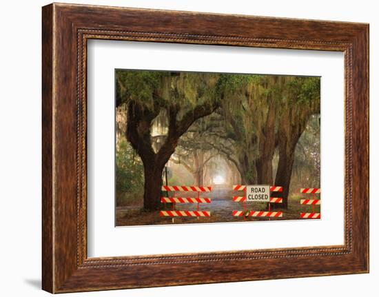 Oak Tree Drive Closed with Barriers, Savannah, Georgia, USA-Joanne Wells-Framed Photographic Print