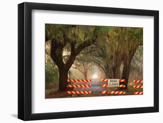 Oak Tree Drive Closed with Barriers, Savannah, Georgia, USA-Joanne Wells-Framed Photographic Print