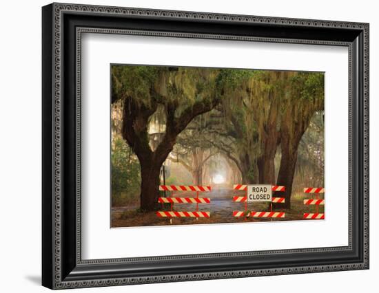 Oak Tree Drive Closed with Barriers, Savannah, Georgia, USA-Joanne Wells-Framed Photographic Print