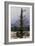 Oak Tree in the Snow-Caspar David Friedrich-Framed Giclee Print