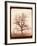 Oak Tree in Winter, Early 1840s-William Henry Fox Talbot-Framed Giclee Print