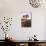 Oak Tree Near Field of Oxeye Daisies and Wheat, Palouse, Washington-Stuart Westmorland-Mounted Photographic Print displayed on a wall