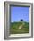 Oak tree on a field in the Tuscany-Herbert Kehrer-Framed Photographic Print