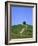 Oak tree on a field in the Tuscany-Herbert Kehrer-Framed Photographic Print