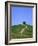 Oak Tree on a Field in the Tuscany-Herbert Kehrer-Framed Photographic Print