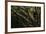 Oak Tree (Quercus Sp) with Ropes for Climbing and a Wooden Pallet to Create a Platform-Solvin Zankl-Framed Photographic Print