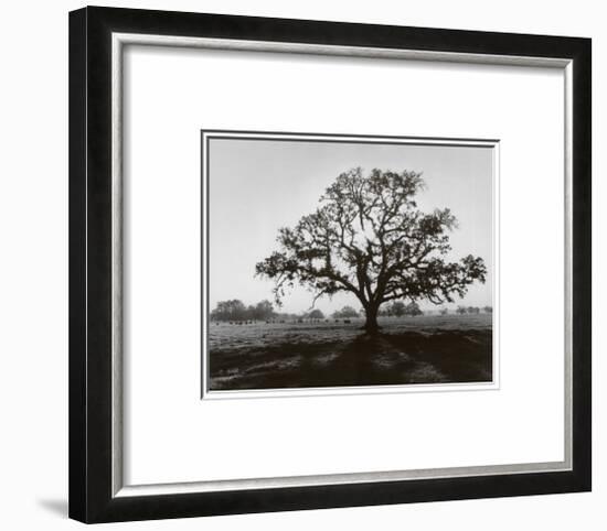 Oak Tree, Sunrise-Ansel Adams-Framed Art Print