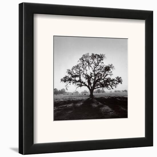 Oak Tree, Sunrise-Ansel Adams-Framed Art Print