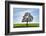 Oak tree with sun, Vogelsberg District, Hesse, Germany-Raimund Linke-Framed Photographic Print