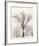 Oak Tree-Ansel Adams-Framed Art Print