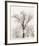 Oak Tree-Ansel Adams-Framed Art Print