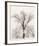 Oak Tree-Ansel Adams-Framed Art Print