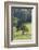 Oak Tree-DLILLC-Framed Photographic Print