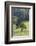 Oak Tree-DLILLC-Framed Photographic Print