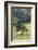 Oak Tree-DLILLC-Framed Photographic Print