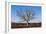 Oak Tree-dendron-Framed Photographic Print