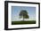 Oak tree-Charles Bowman-Framed Photographic Print