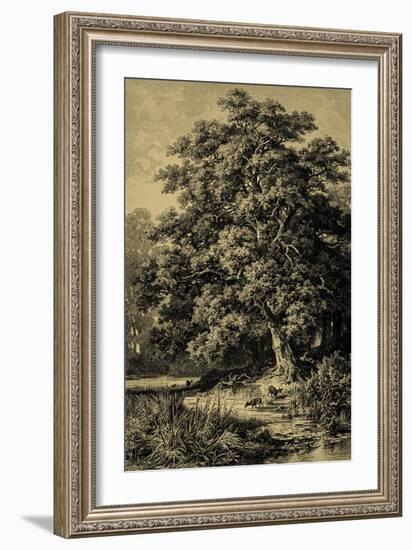 Oak Tree-Ernst Heyn-Framed Art Print