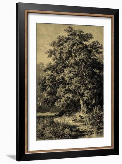 Oak Tree-Ernst Heyn-Framed Art Print