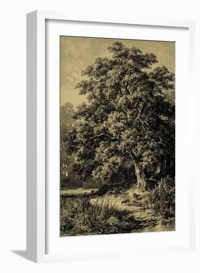 Oak Tree-Ernst Heyn-Framed Art Print