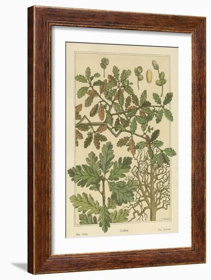 Oak Tree-M. P. Verneuil-Framed Art Print