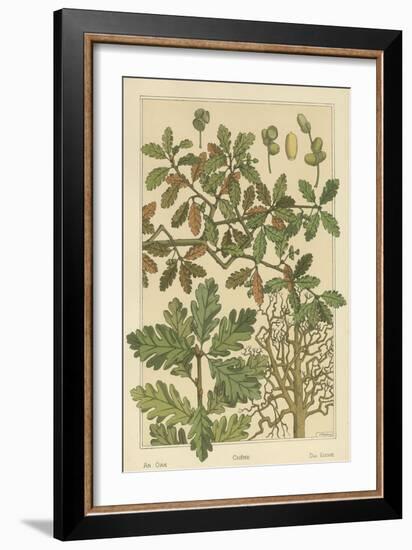 Oak Tree-M. P. Verneuil-Framed Art Print