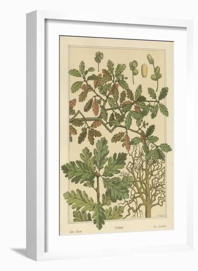 Oak Tree-M. P. Verneuil-Framed Art Print