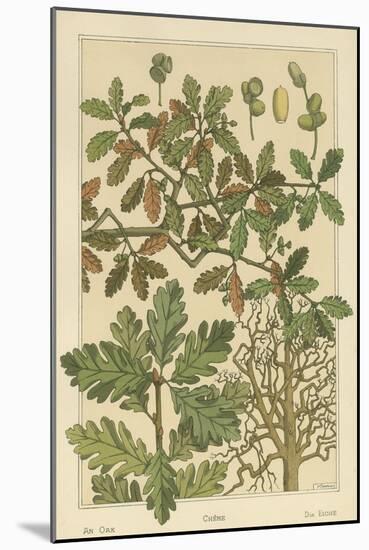 Oak Tree-M. P. Verneuil-Mounted Art Print