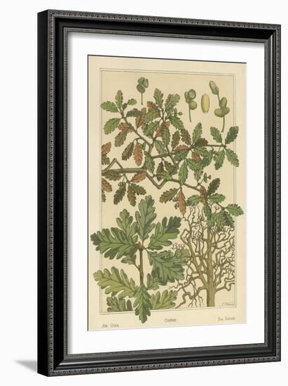 Oak Tree-M. P. Verneuil-Framed Art Print