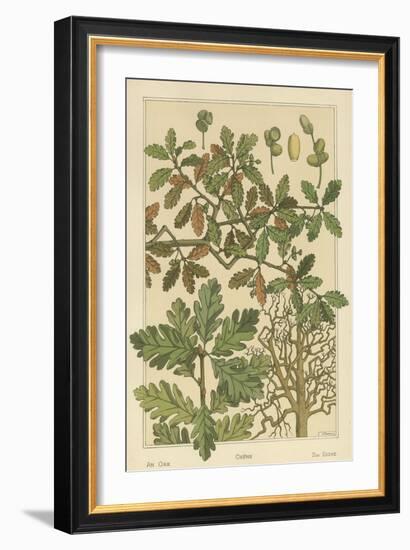 Oak Tree-M. P. Verneuil-Framed Art Print