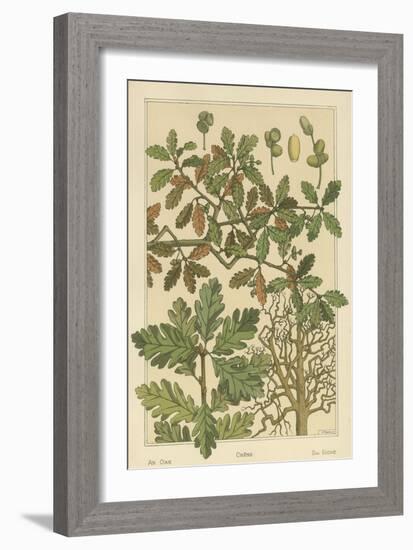 Oak Tree-M. P. Verneuil-Framed Premium Giclee Print