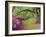 Oak Trees Above Azaleas in Bloom, Magnolia Plantation, Near Charleston, South Carolina, USA-Adam Jones-Framed Photographic Print