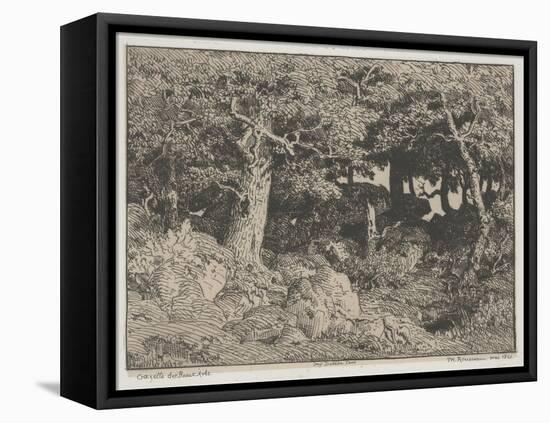 Oak Trees and Rocks, 1861 (Etching)-Theodore Rousseau-Framed Premier Image Canvas