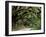 Oak Trees and Spanish Moss, Cumberland, Georgia, USA-Marilyn Parver-Framed Photographic Print