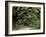 Oak Trees and Spanish Moss, Cumberland, Georgia, USA-Marilyn Parver-Framed Photographic Print