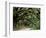 Oak Trees and Spanish Moss, Cumberland, Georgia, USA-Marilyn Parver-Framed Premium Photographic Print