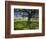 Oak Trees and Wildflowers Bloom Near Cuero, Texas, USA-Darrell Gulin-Framed Photographic Print