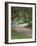 Oak Trees, Blue Bonnets, and Indian Paint Brush, Near Gay Hill, Texas, USA-Darrell Gulin-Framed Photographic Print