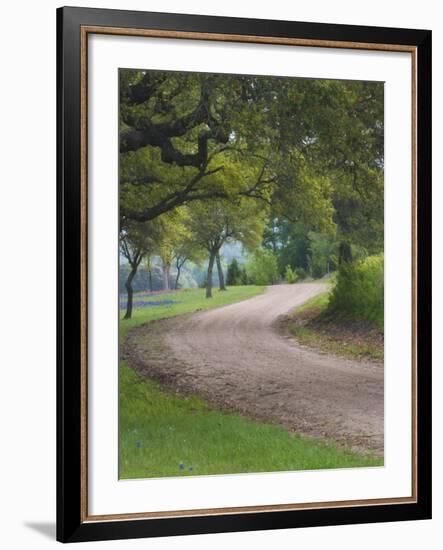 Oak Trees, Blue Bonnets, and Indian Paint Brush, Near Gay Hill, Texas, USA-Darrell Gulin-Framed Photographic Print