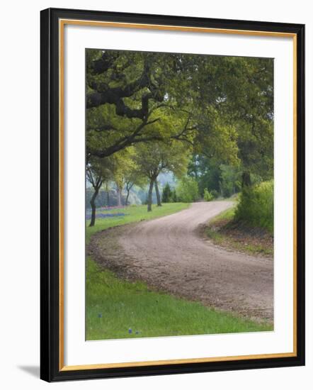 Oak Trees, Blue Bonnets, and Indian Paint Brush, Near Gay Hill, Texas, USA-Darrell Gulin-Framed Photographic Print